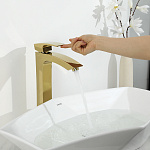 Превью - G1007-32(17).jpg