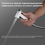 Превью - smesitel-s-gigienicheskim-dushem-gappo-g7218016.jpg